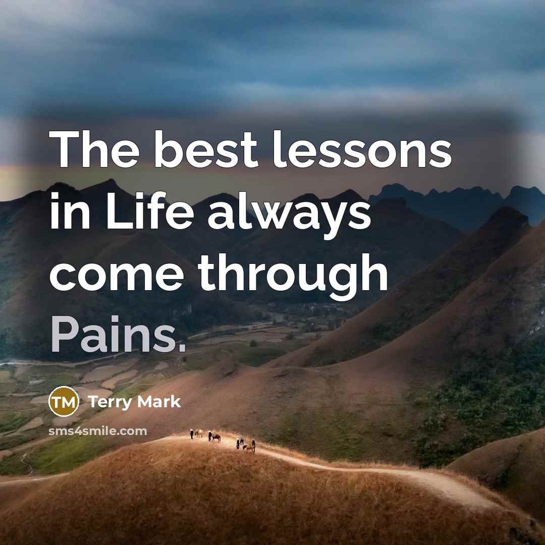 “The best lessons in Life always come through Pains.” quote by Terry Mark