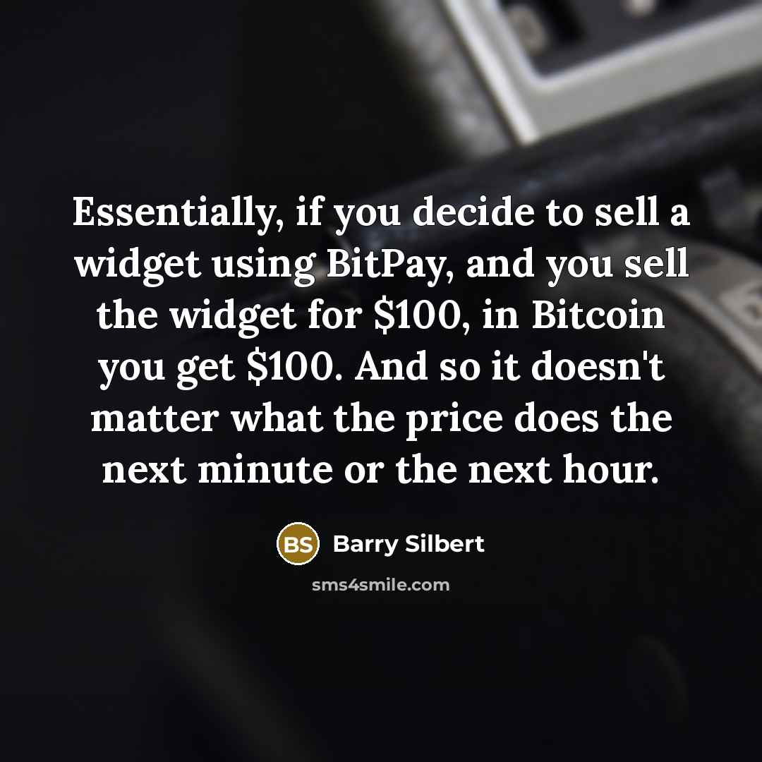 “Essentially, if you decide to sell a widget using BitPay, and you sell the widget for $100, in Bitcoin you get $100. And so it doesn't matter what the price does the next minute or the next hour.” quote by Barry Silbert