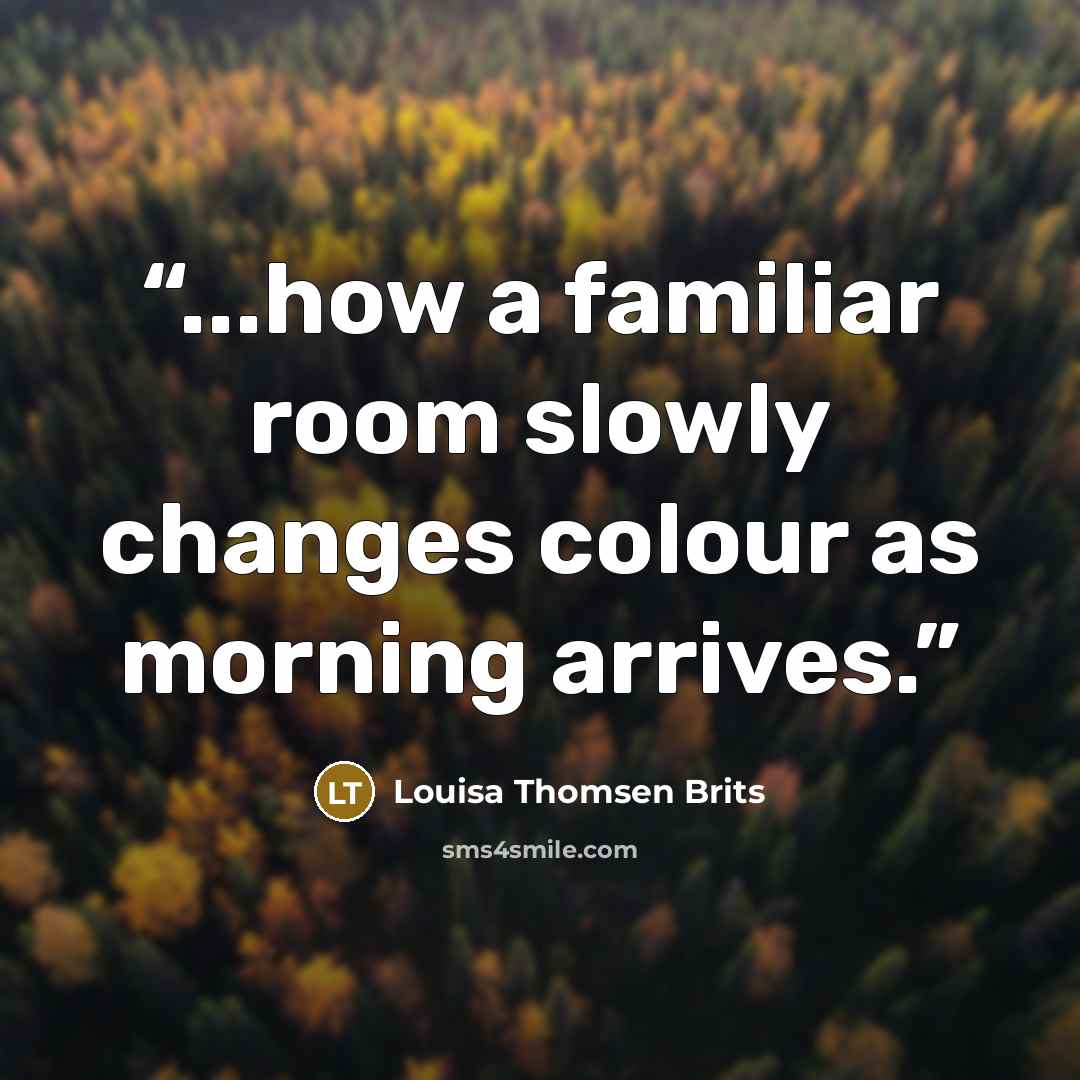 “...how a familiar room slowly changes colour as morning arrives.” quote by Louisa Thomsen Brits