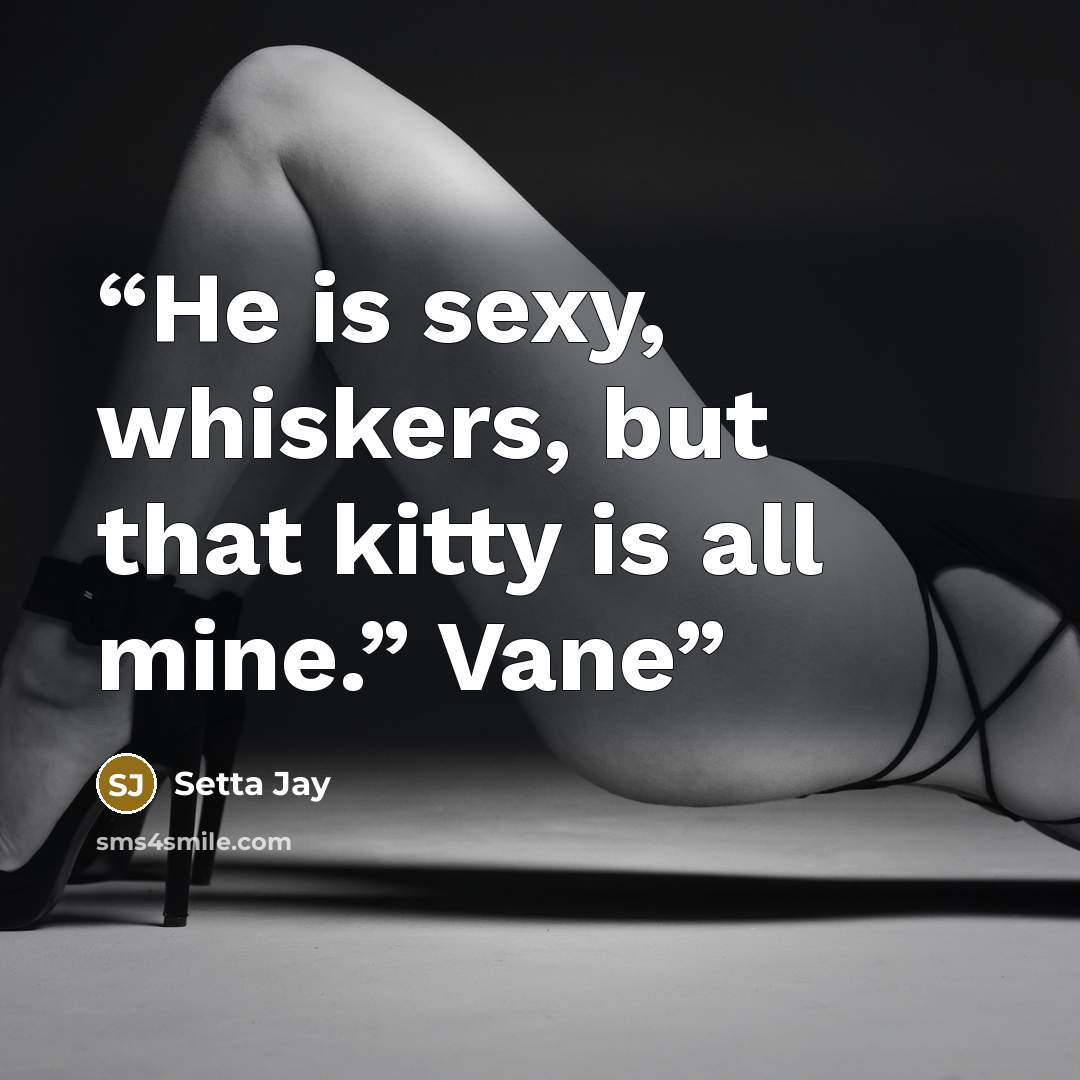 “He is sexy, whiskers, but that kitty is all mine.” Vane” quote by Setta Jay
