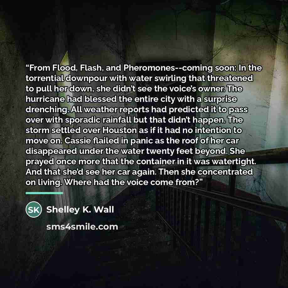 “From Flood, Flash, and Pheromones--coming soon: In the torrential downpour with water swirling that threatened to pull her down, she didn’t see the voice’s owner. The hurricane had blessed the entire city with a surprise drenching. All weather reports had predicted it to pass over with sporadic…” quote by Shelley K. Wall