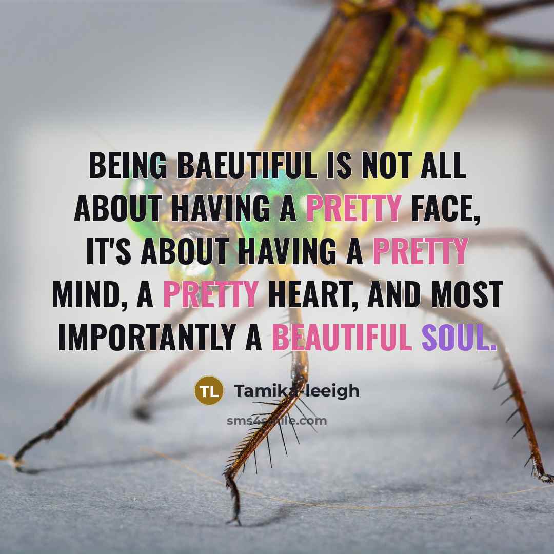 “Being baeutiful is not all about having a pretty face, it's about having a pretty mind, a pretty heart, and most importantly a beautiful soul.” quote by Tamika-leeigh