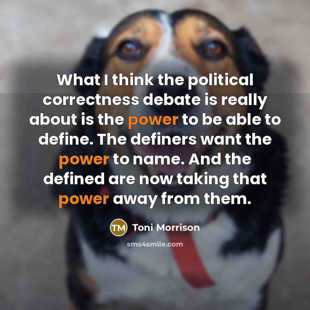 “What I think the political correctness debate is really about is the power to be able to define. The definers want the power to name. And the defined are now taking that power away from them.” quote by Toni Morrison