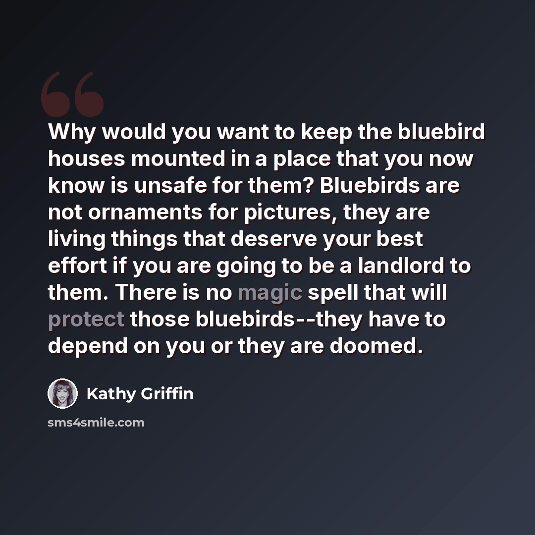 “Why would you want to keep the bluebird houses mounted in a place that you now know is unsafe for them? Bluebirds are not ornaments for pictures, they are living things that deserve your best effort if you are going to be a landlord to them. There is no magic spell that will protect those…” quote by Kathy Griffin