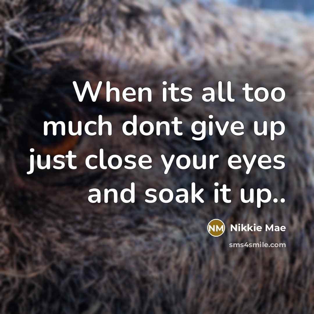 “When its all too much dont give up just close your eyes and soak it up..” quote by Nikkie Mae