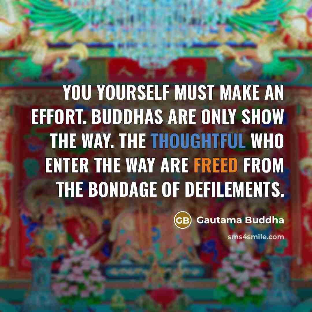 “You yourself must make an effort. Buddhas are only show the way. The thoughtful who enter the way are freed from the bondage of defilements.” quote by Gautama Buddha