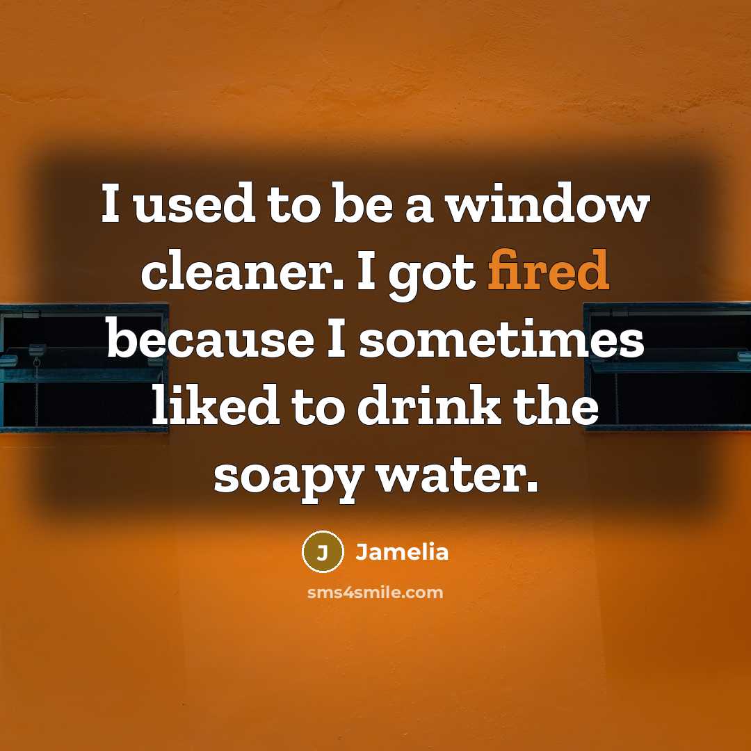 “I used to be a window cleaner. I got fired because I sometimes liked to drink the soapy water.” quote by Jamelia
