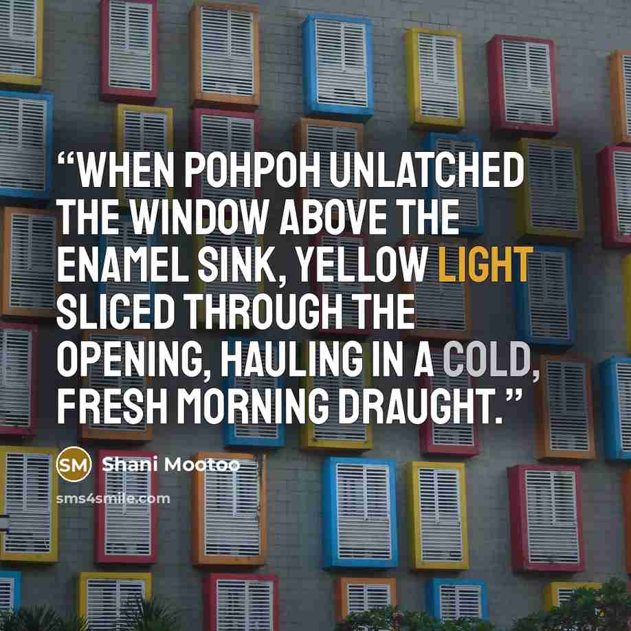 “When Pohpoh unlatched the window above the enamel sink, yellow light sliced through the opening, hauling in a cold, fresh morning draught.” quote by Shani Mootoo