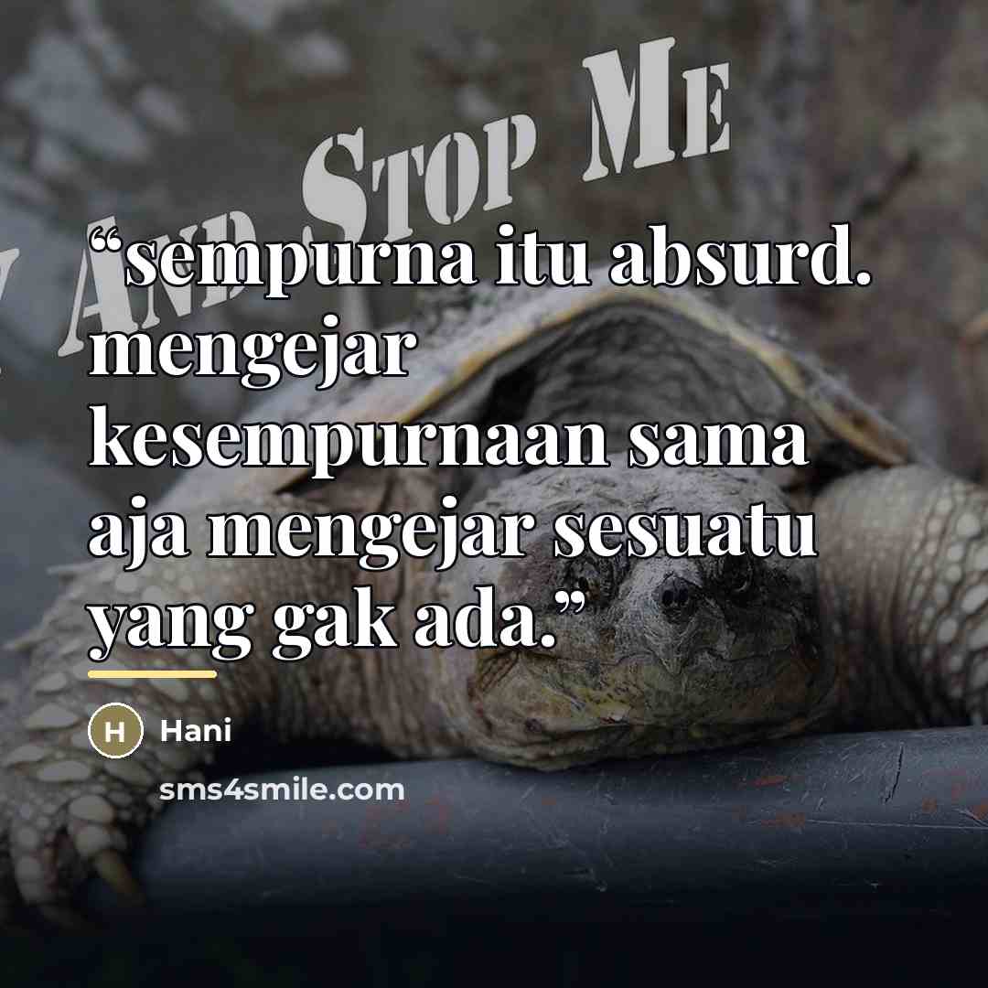“sempurna itu absurd. mengejar kesempurnaan sama aja mengejar sesuatu yang gak ada.” quote by hani