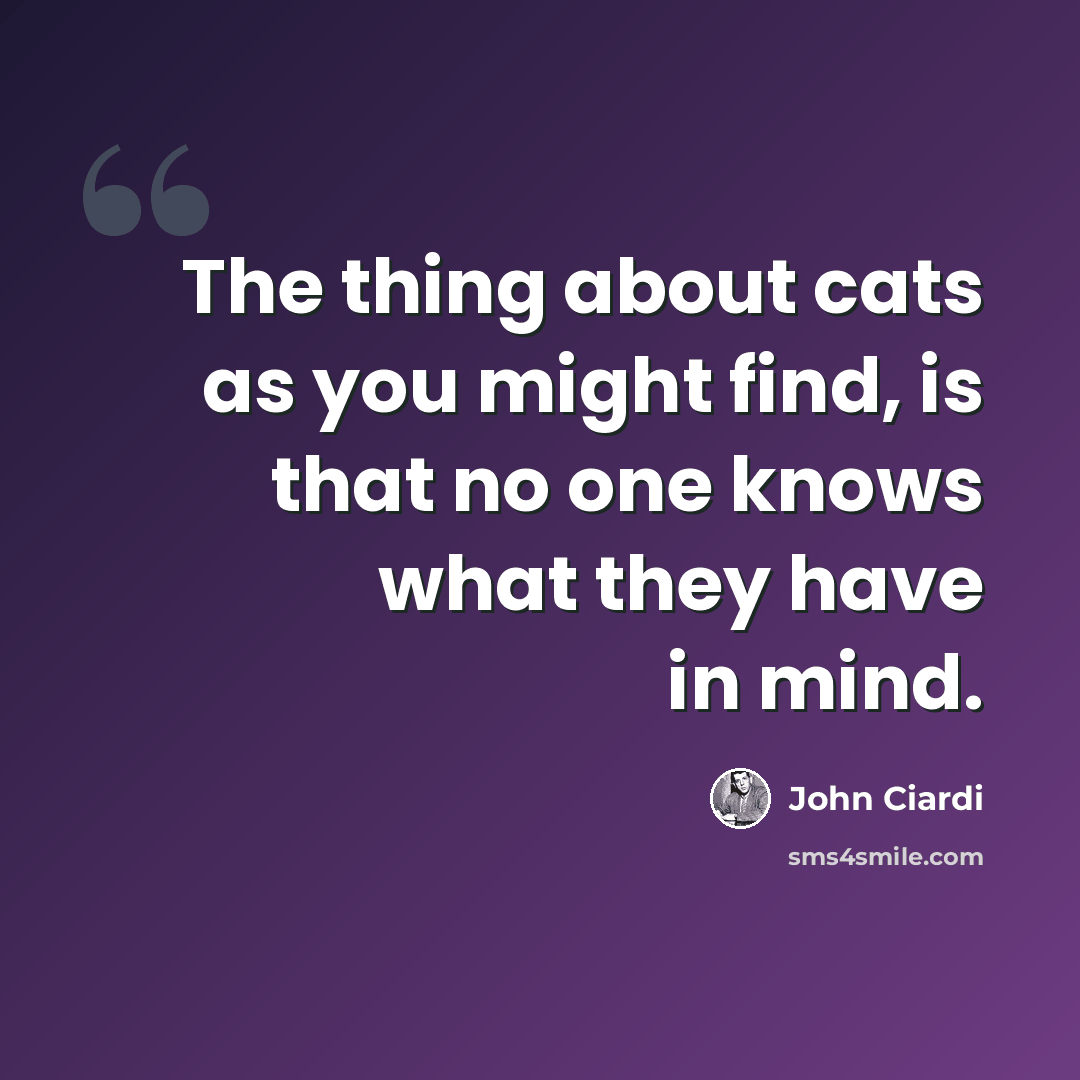 “The thing about cats as you might find, is that no one knows what they have in mind.” quote by John Ciardi