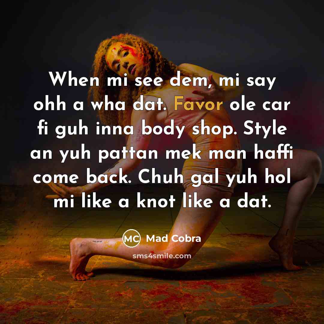 “When mi see dem, mi say ohh a wha dat. Favor ole car fi guh inna body shop. Style an yuh pattan mek man haffi come back. Chuh gal yuh hol mi like a knot like a dat.” quote by Mad Cobra