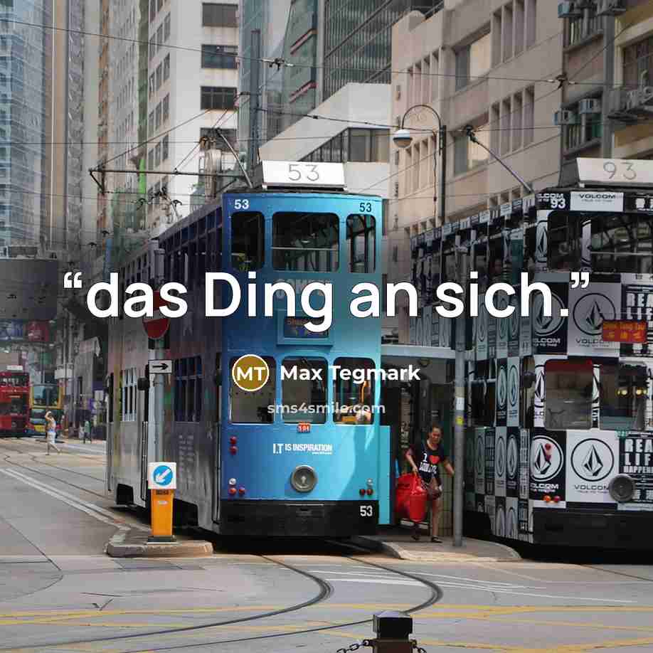 “das Ding an sich.” quote by Max Tegmark