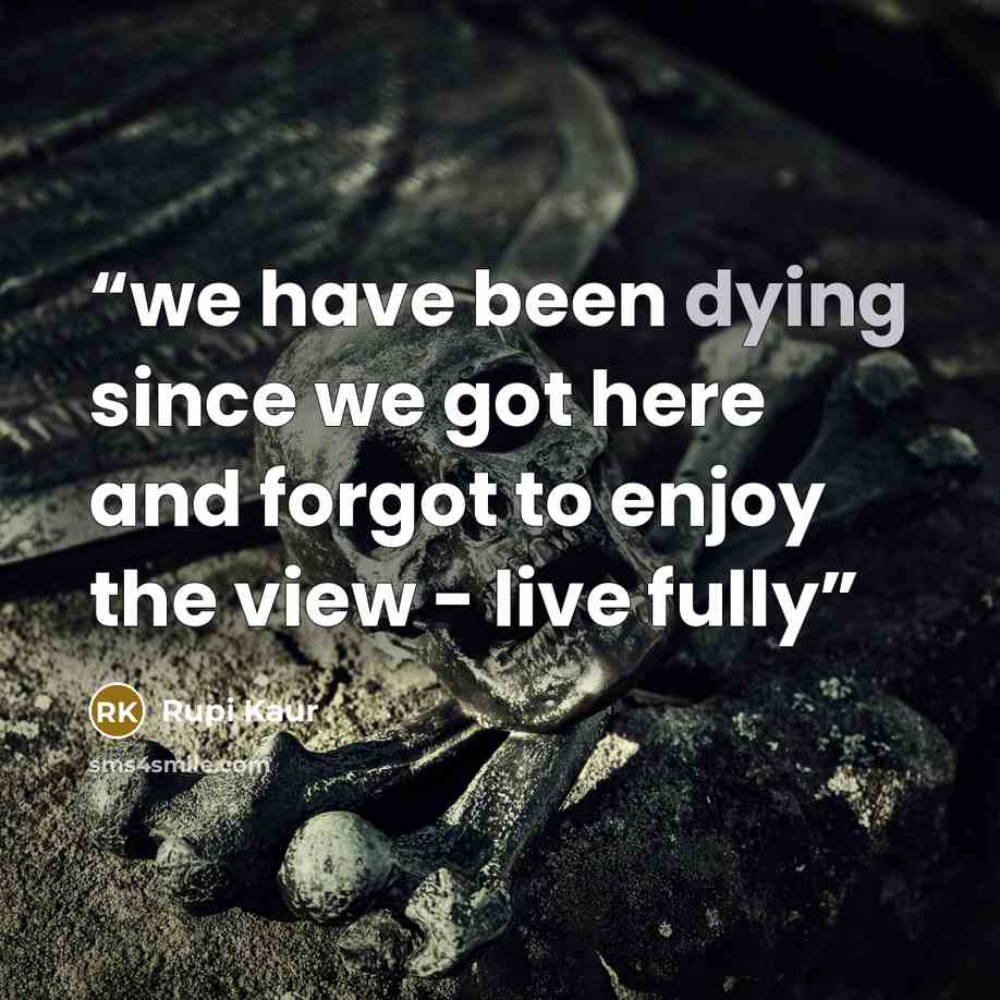 “we have been dying since we got here and forgot to enjoy the view - live fully” quote by Rupi Kaur