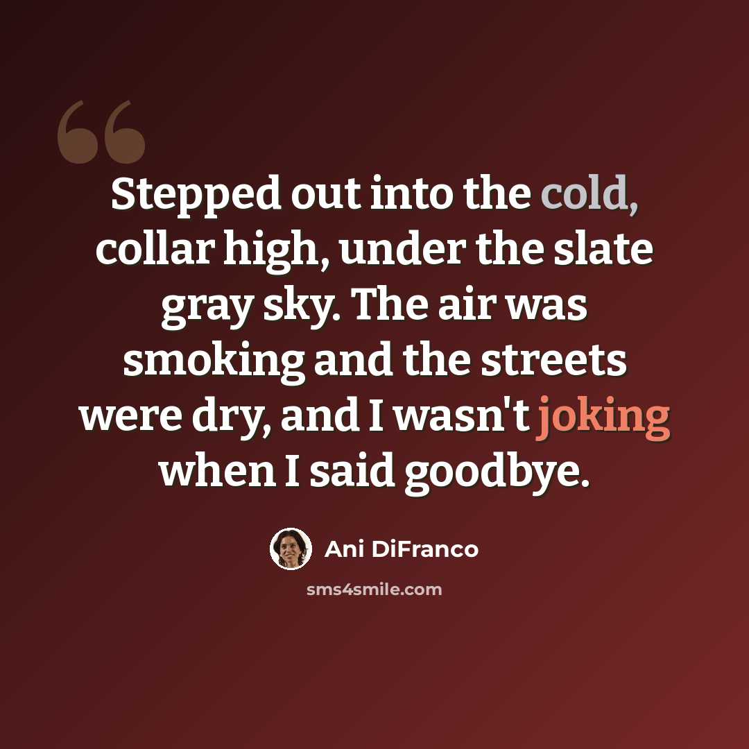 “Stepped out into the cold, collar high, under the slate gray sky. The air was smoking and the streets were dry, and I wasn't joking when I said goodbye.” quote by Ani DiFranco