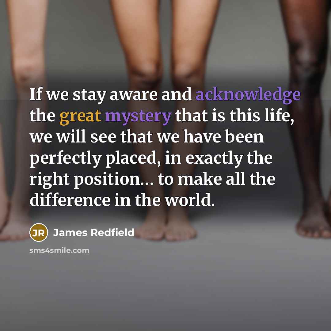 “If we stay aware and acknowledge the great mystery that is this life, we will see that we have been perfectly placed, in exactly the right position… to make all the difference in the world.” quote by James Redfield