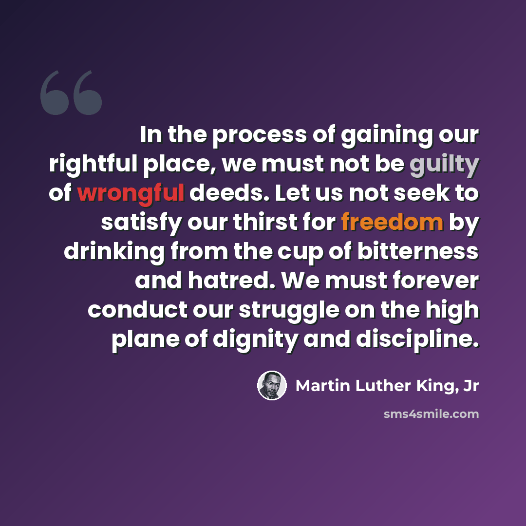 “In the process of gaining our rightful place, we must not be guilty of wrongful deeds. Let us not seek to satisfy our thirst for freedom by drinking from the cup of bitterness and hatred. We must forever conduct our struggle on the high plane of dignity and discipline.” quote by Martin Luther King, Jr