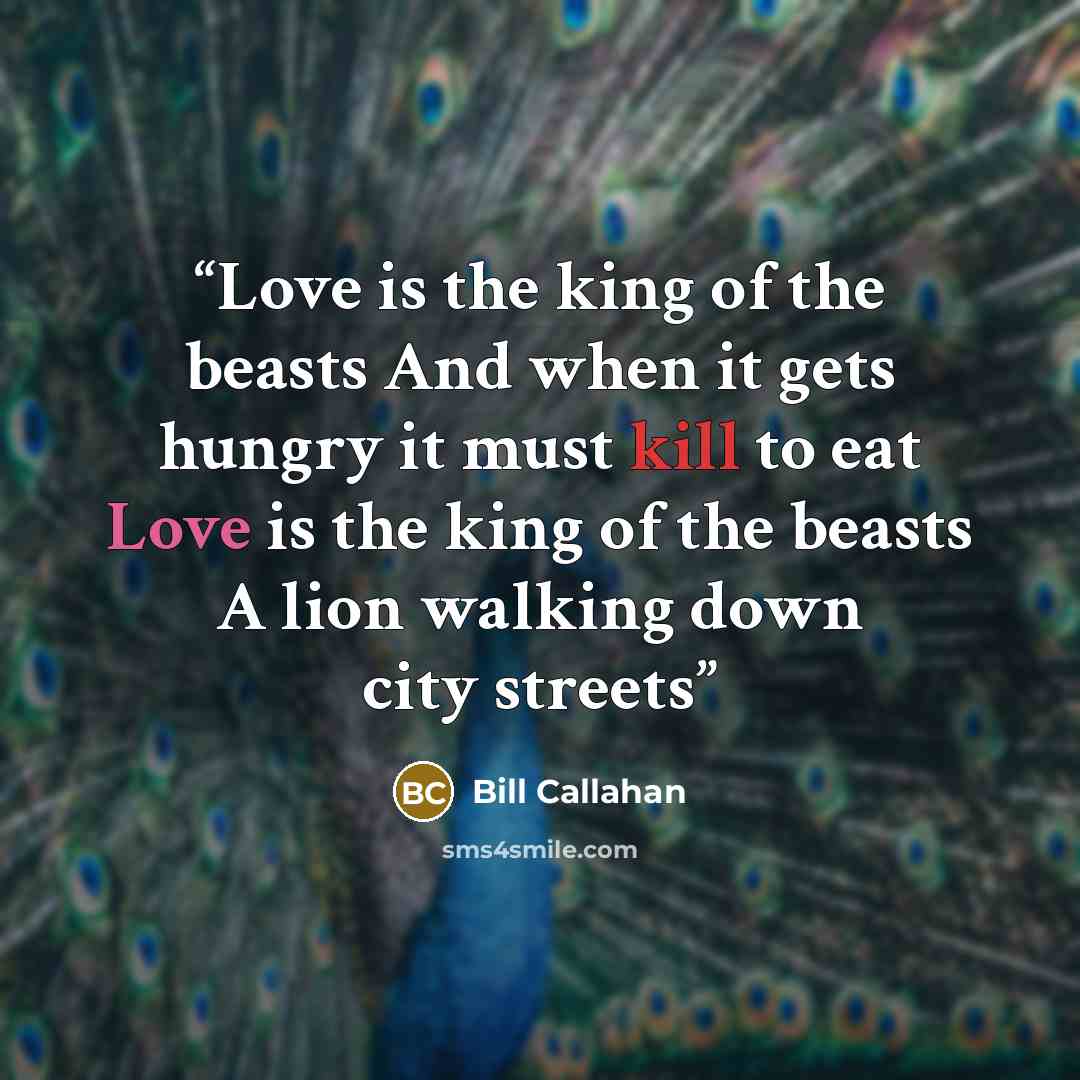 “Love is the king of the beasts And when it gets hungry it must kill to eat Love is the king of the beasts A lion walking down city streets” quote by Bill Callahan
