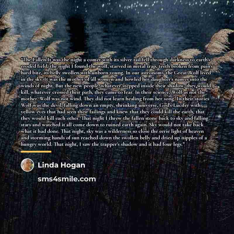 “The Fallen It was the night a comet with its silver tail fell through darkness to earth's eroded field, the night I found the wolf, starved in metal trap, teeth broken from pain's hard bite, its belly swollen with unborn young. In our astronomy the Great Wolf lived in the sky. It was the mother of…” quote by Linda Hogan