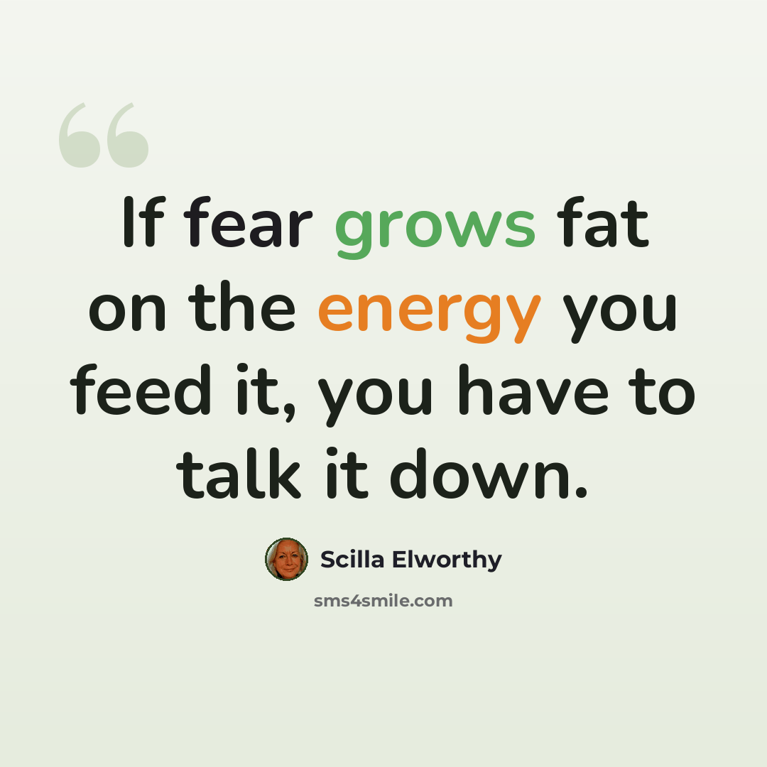 “If fear grows fat on the energy you feed it, you have to talk it down.” quote by Scilla Elworthy