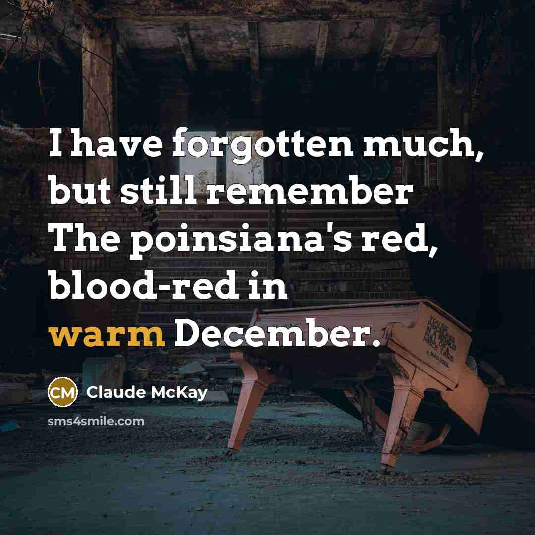 “I have forgotten much, but still remember The poinsiana's red, blood-red in warm December.” quote by Claude McKay