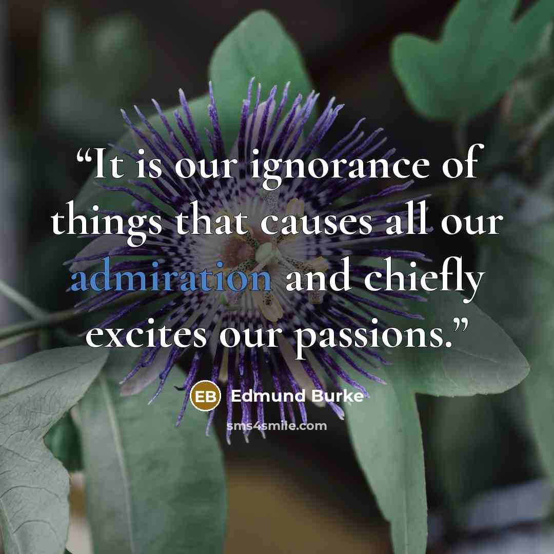 “It is our ignorance of things that causes all our admiration and chiefly excites our passions.” quote by Edmund Burke