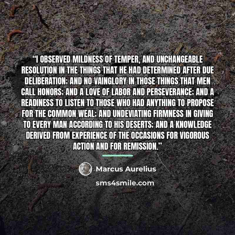 “I observed mildness of temper, and unchangeable resolution in the things that he had determined after due deliberation; and no vainglory in those things that men call honors; and a love of labor and perseverance; and a readiness to listen to those who had anything to propose for the common weal…” quote by Marcus Aurelius