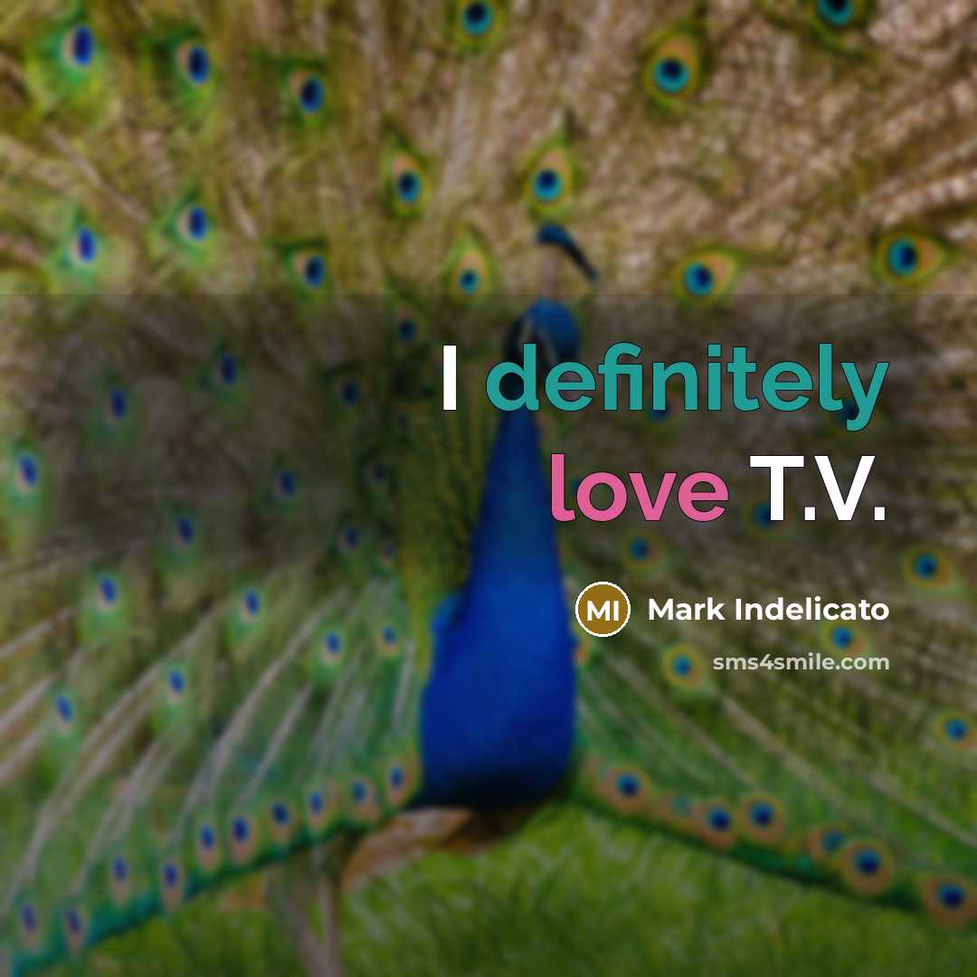 “I definitely love T.V.” quote by Mark Indelicato