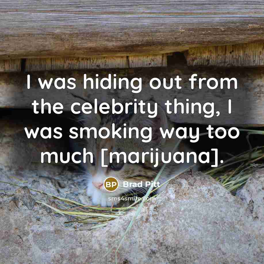 “I was hiding out from the celebrity thing, I was smoking way too much [marijuana].” quote by Brad Pitt