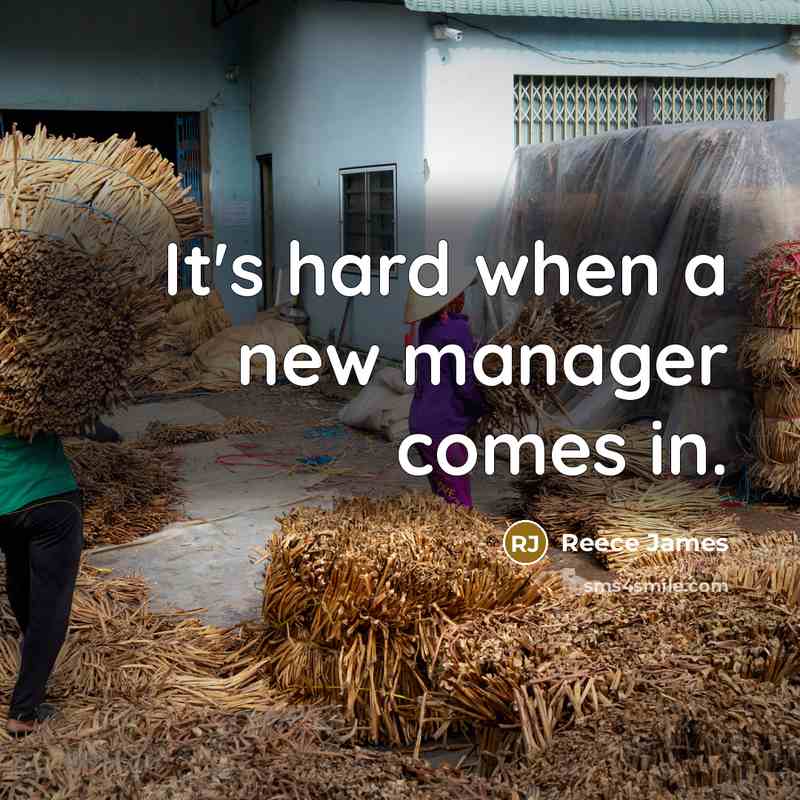 “It's hard when a new manager comes in.” quote by Reece James
