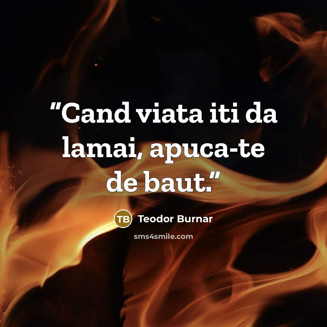 “Cand viata iti da lamai, apuca-te de baut.” quote by Teodor Burnar