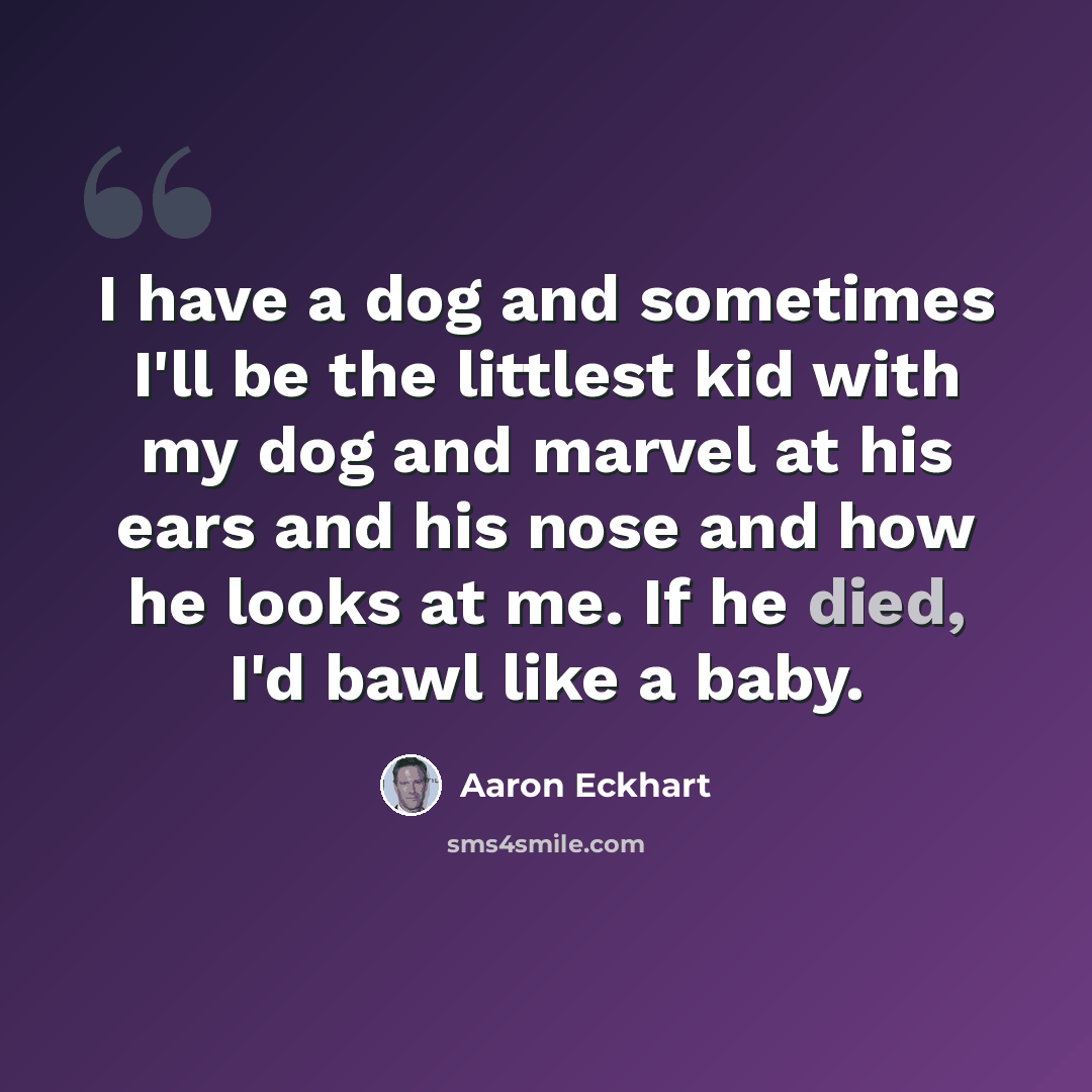 “I have a dog and sometimes I'll be the littlest kid with my dog and marvel at his ears and his nose and how he looks at me. If he died, I'd bawl like a baby.” quote by Aaron Eckhart