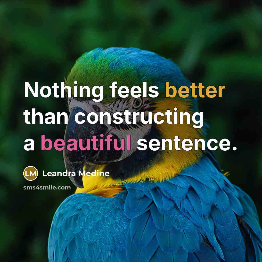 “Nothing feels better than constructing a beautiful sentence.” quote by Leandra Medine