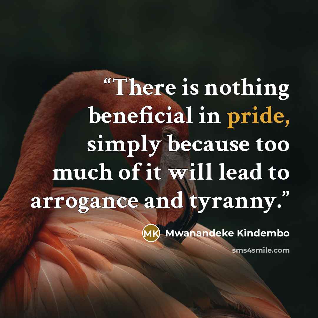 “There is nothing beneficial in pride, simply because too much of it will lead to arrogance and tyranny.” quote by Mwanandeke Kindembo