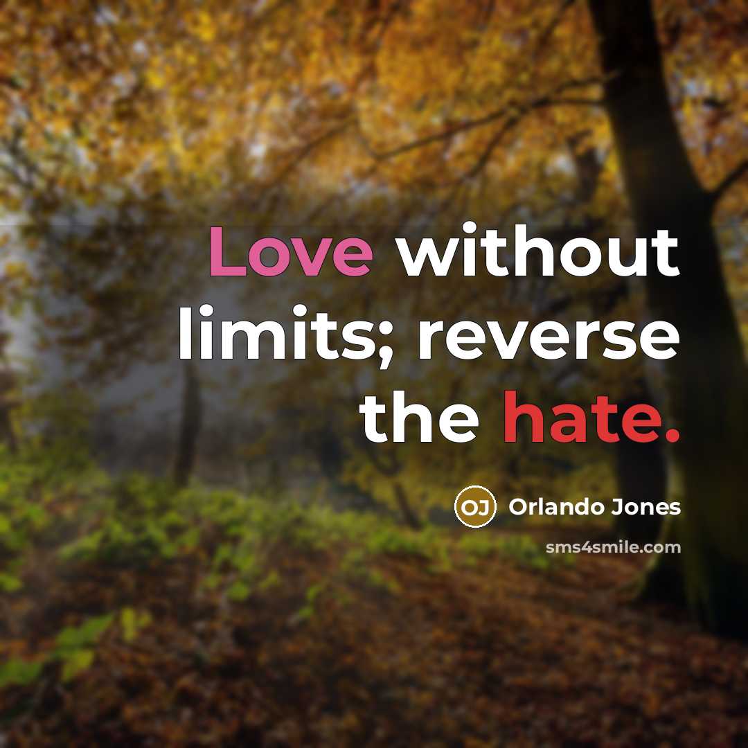 “Love without limits; reverse the hate.” quote by Orlando Jones