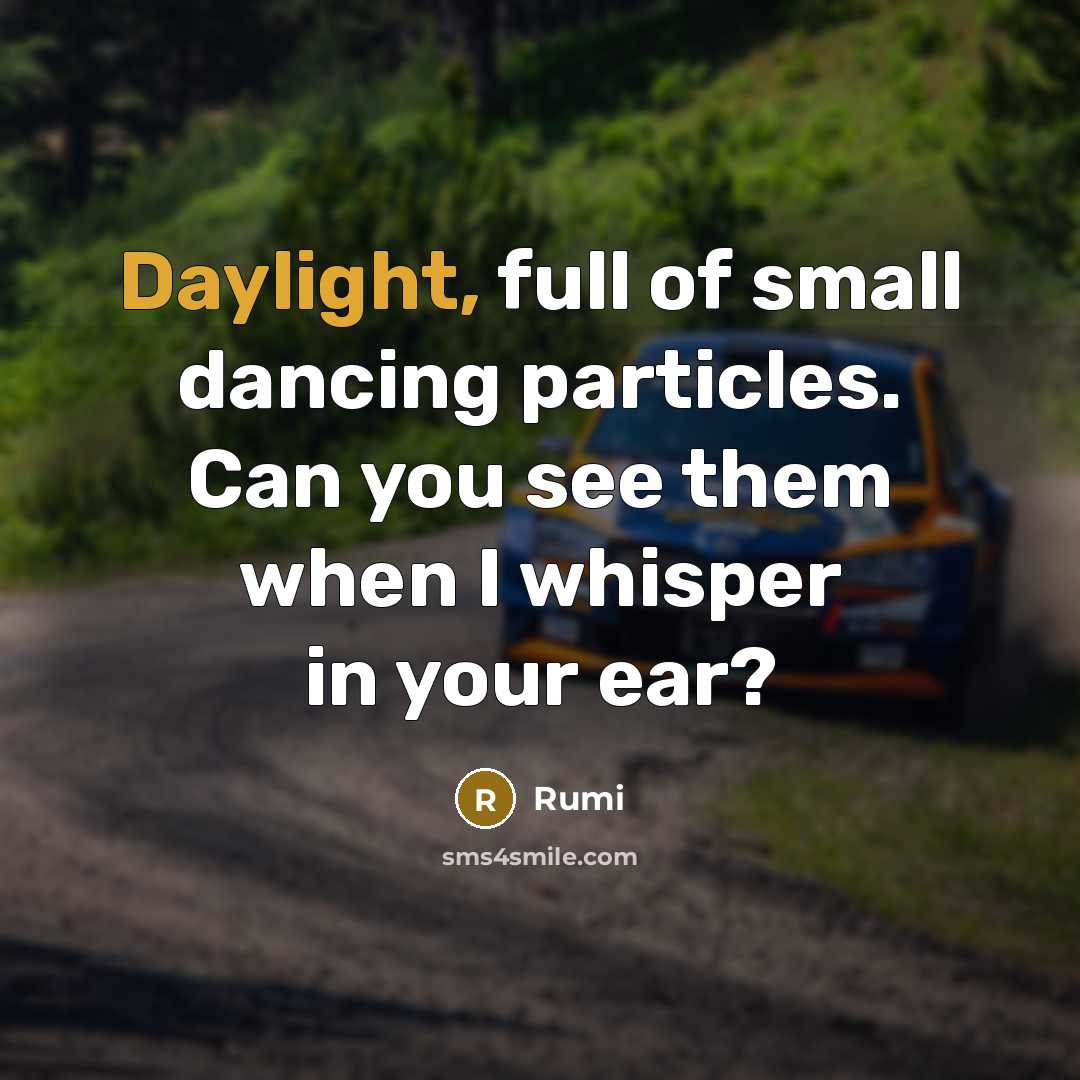 “Daylight, full of small dancing particles. Can you see them when I whisper in your ear?” quote by Rumi