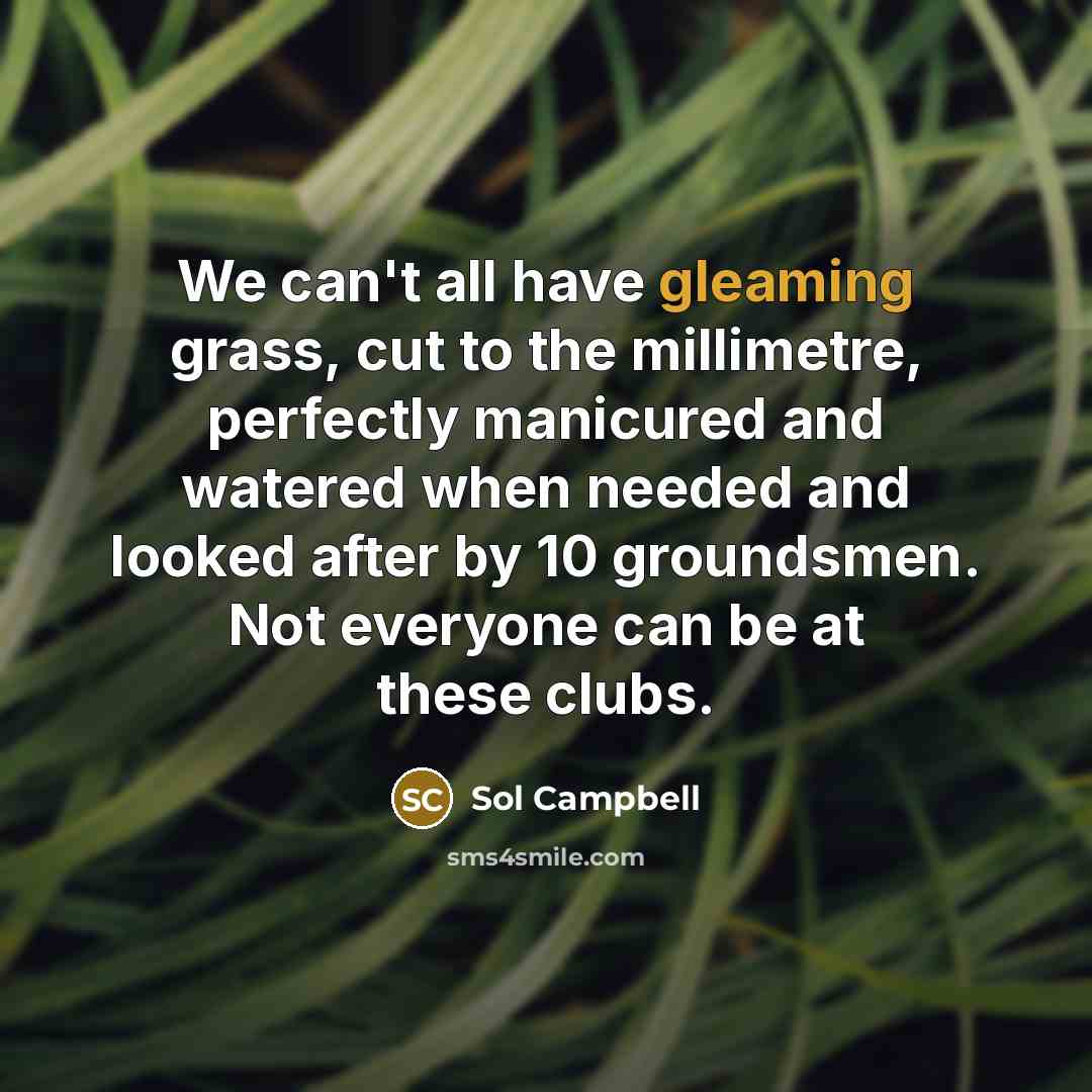 “We can't all have gleaming grass, cut to the millimetre, perfectly manicured and watered when needed and looked after by 10 groundsmen. Not everyone can be at these clubs.” quote by Sol Campbell