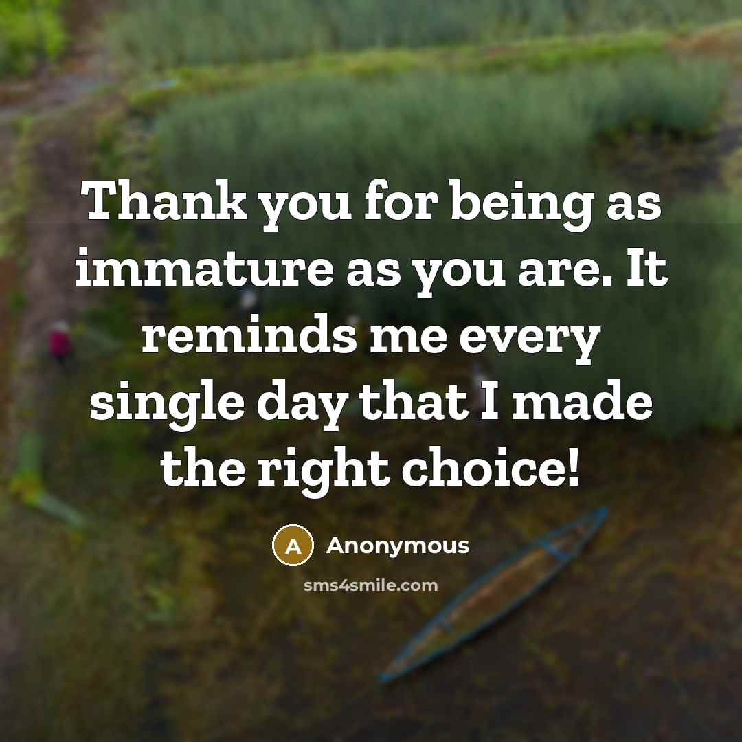 “Thank you for being as immature as you are. It reminds me every single day that I made the right choice!” quote by Anonymous