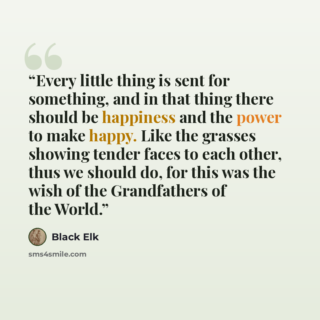 “Every little thing is sent for something, and in that thing there should be happiness and the power to make happy. Like the grasses showing tender faces to each other, thus we should do, for this was the wish of the Grandfathers of the World.” quote by Black Elk