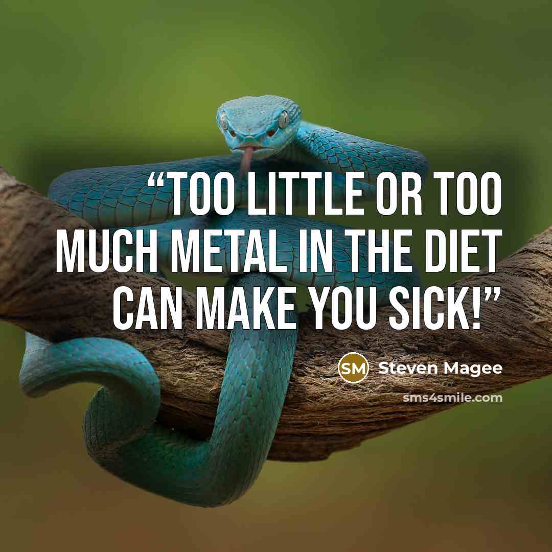 “Too little or too much metal in the diet can make you sick!” quote by Steven Magee