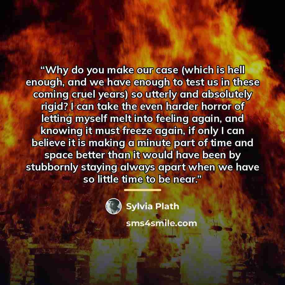 “Why do you make our case (which is hell enough, and we have enough to test us in these coming cruel years) so utterly and absolutely rigid? I can take the even harder horror of letting myself melt into feeling again, and knowing it must freeze again, if only I can believe it is making a minute…” quote by Sylvia Plath