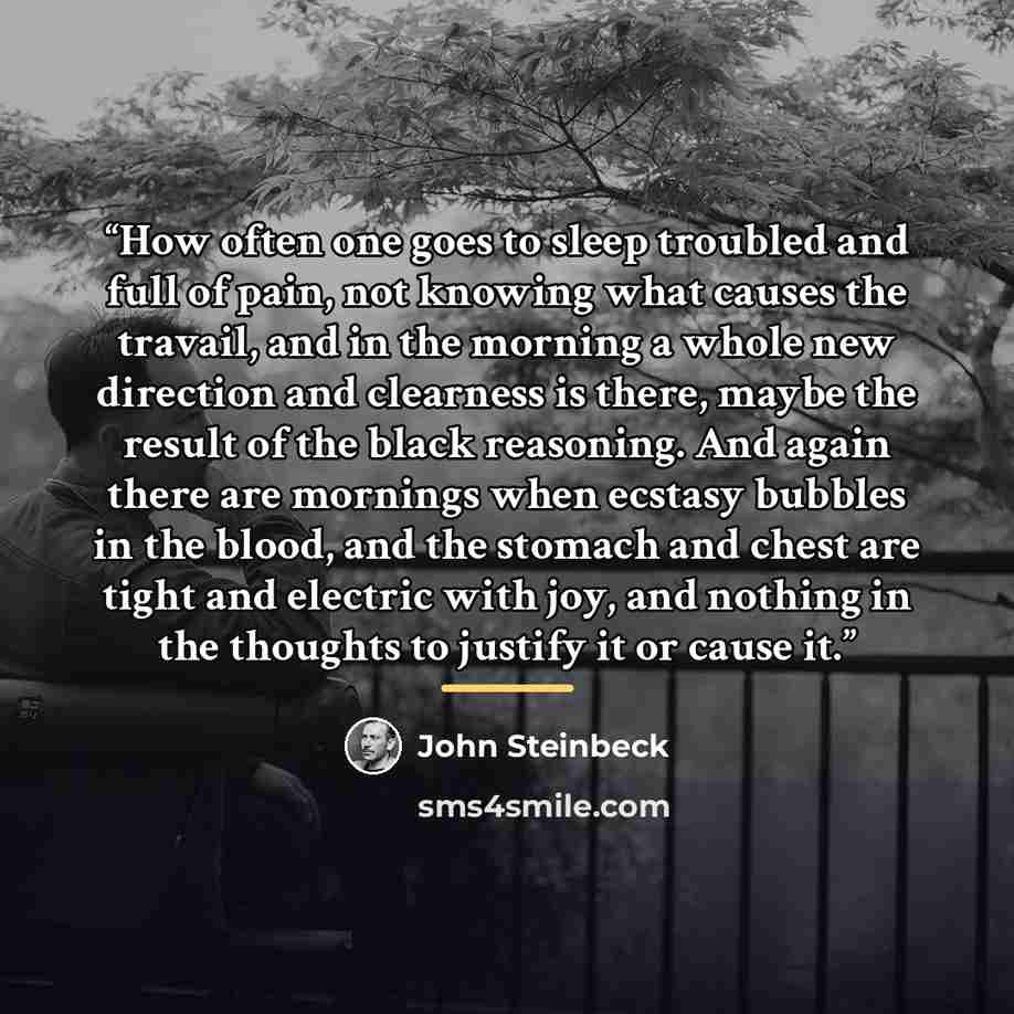 “How often one goes to sleep troubled and full of pain, not knowing what causes the travail, and in the morning a whole new direction and clearness is there, maybe the result of the black reasoning. And again there are mornings when ecstasy bubbles in the blood, and the stomach and chest are tight…” quote by John Steinbeck