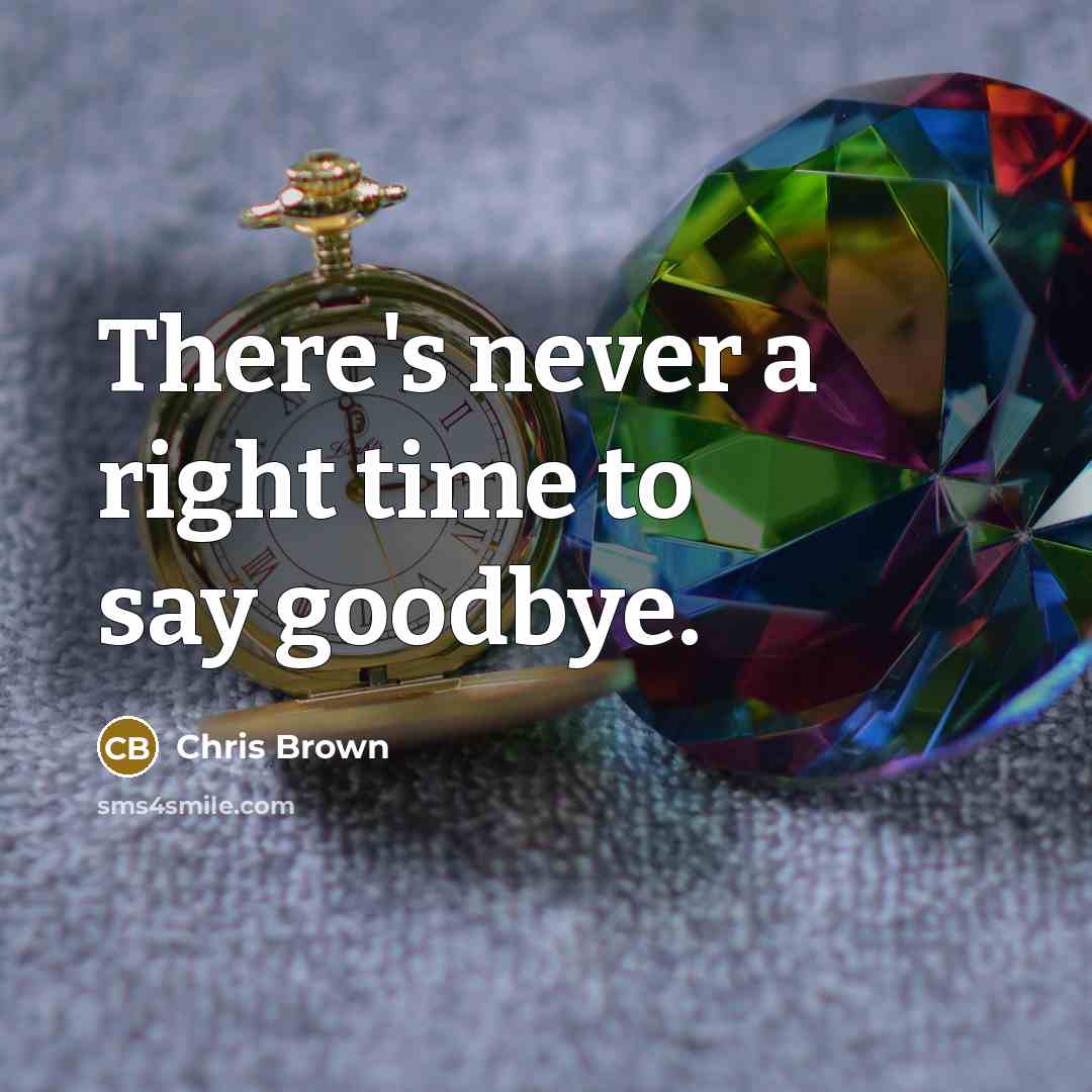 “There's never a right time to say goodbye.” quote by Chris Brown