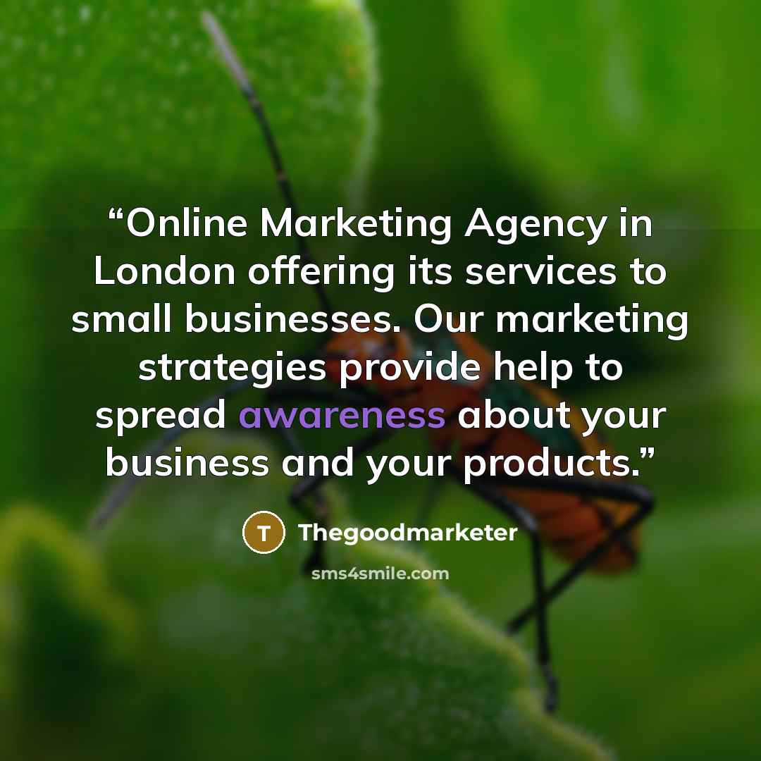 “Online Marketing Agency in London offering its services to small businesses. Our marketing strategies provide help to spread awareness about your business and your products.” quote by thegoodmarketer