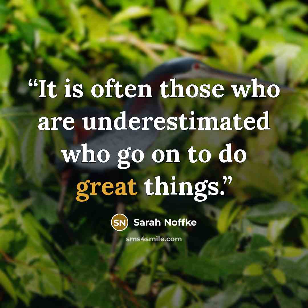 “It is often those who are underestimated who go on to do great things.” quote by Sarah Noffke
