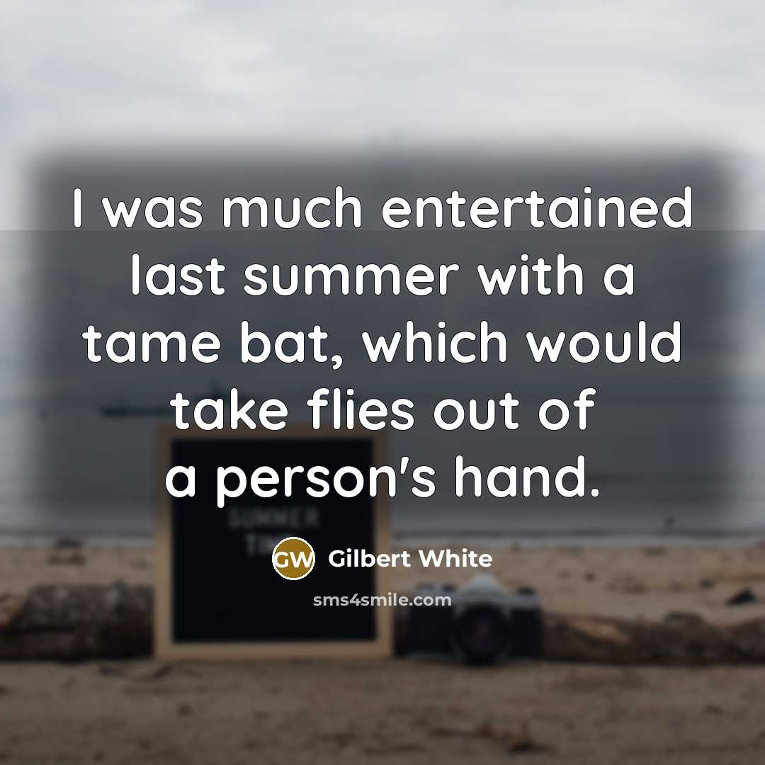 “I was much entertained last summer with a tame bat, which would take flies out of a person's hand.” quote by Gilbert White