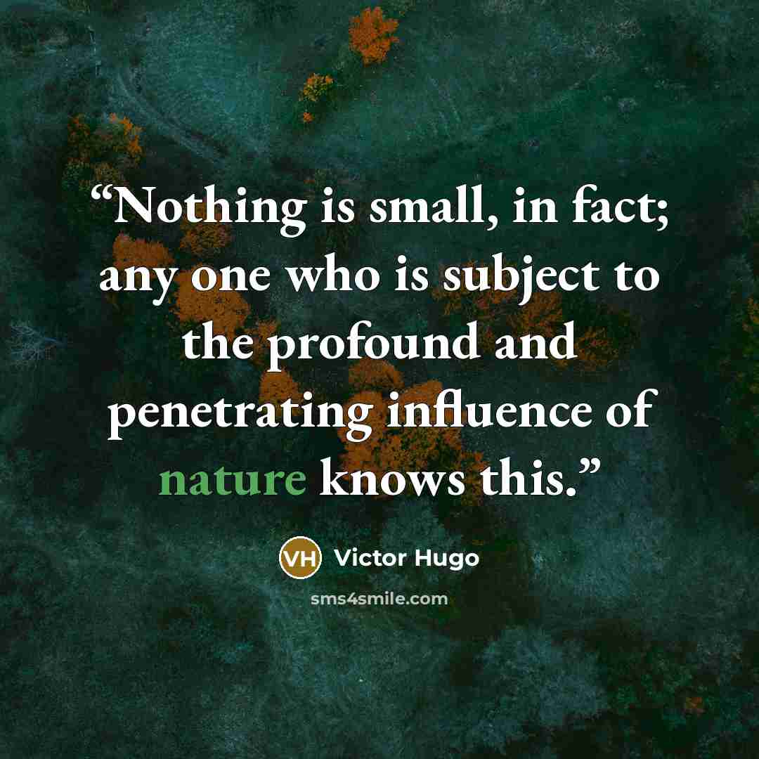 “Nothing is small, in fact; any one who is subject to the profound and penetrating influence of nature knows this.” quote by Victor Hugo