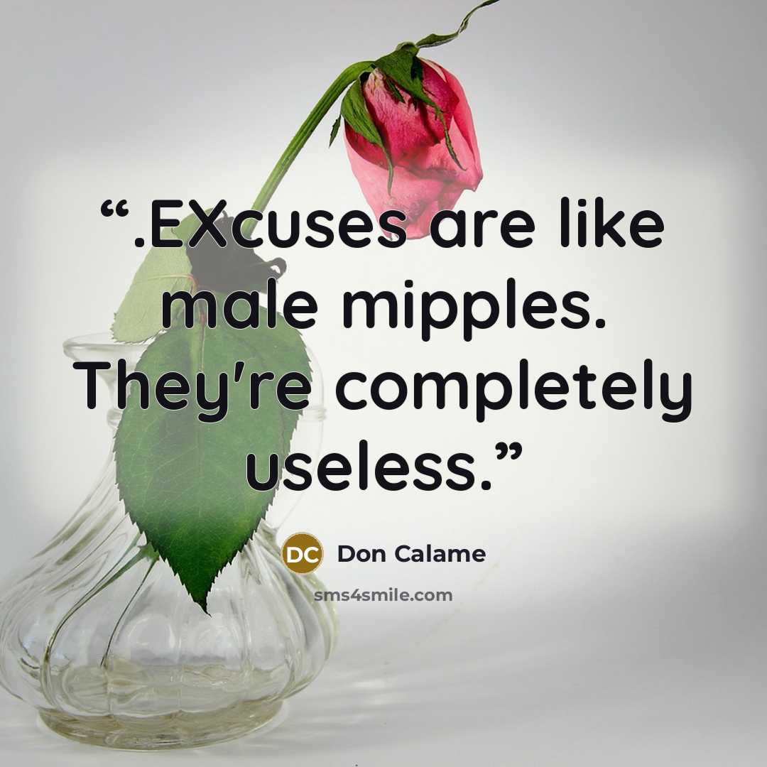 “.EXcuses are like male mipples. They're completely useless.” quote by Don Calame