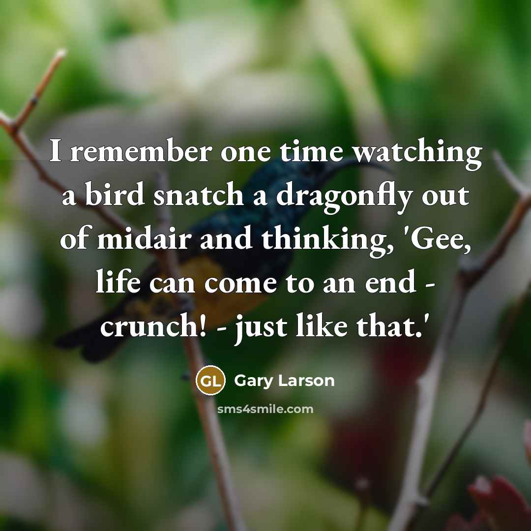 “I remember one time watching a bird snatch a dragonfly out of midair and thinking, 'Gee, life can come to an end - crunch! - just like that.'” quote by Gary Larson