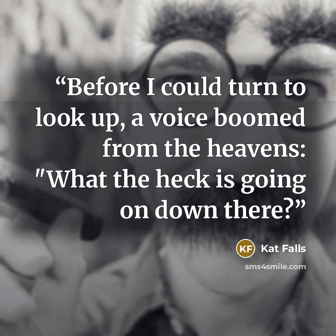 “Before I could turn to look up, a voice boomed from the heavens: "What the heck is going on down there?” quote by Kat Falls