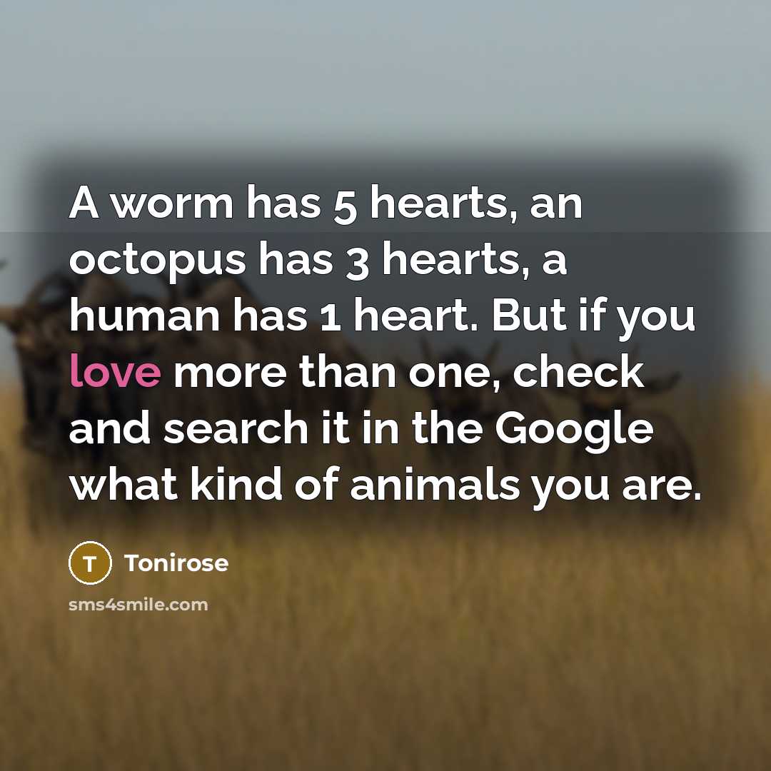 “A worm has 5 hearts, an octopus has 3 hearts, a human has 1 heart. But if you love more than one, check and search it in the Google what kind of animals you are.” quote by Tonirose